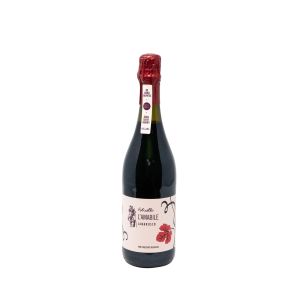 Lambrusco Amabile Folicello 750 ML