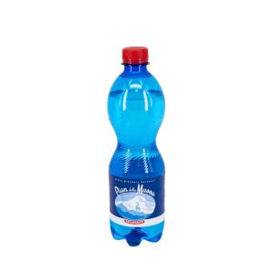 Acqua Pian della Mussa Frizzante 500 ML