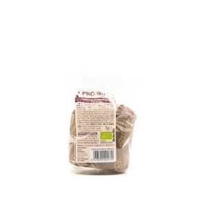Panettone Senza Glutine Probios 70G