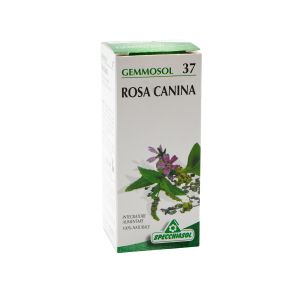 Gemmosol Rosa Canina Specchiasol 50 ML