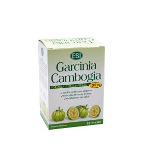 Garcinia Cambogia 1000mg ESI 65 G
