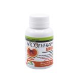Micotherapy Reishi 90 Capsule AVD Reform 44,5 G