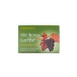 Tisana Biologica Vite Rossa Gambe Erbamea 30G