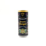 Kombucha Atomic Ginger Zenzero e Melissa Intro 330ML