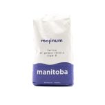Farina di Grano Tenero Tipo 0 Manitoba Molinum 1KG