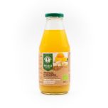 Succo Arancia e Zenzero Probios 500 ML