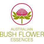 Australian Bush Flower