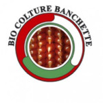 Bio Colture Banchette