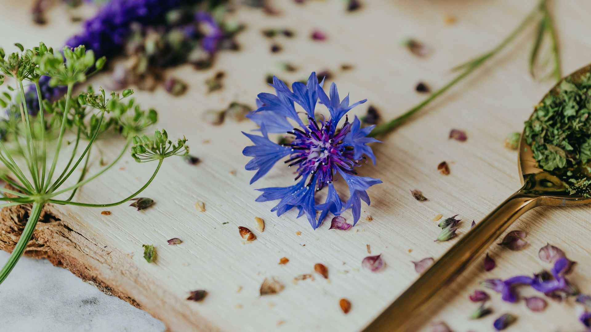 Fiori ed Erbe: l’ingrediente segreto nei tuoi piatti.