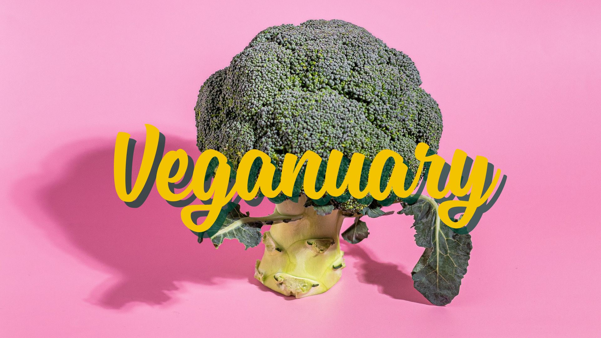 Veganuary: nuove consistenze e sapori nella tua cucina