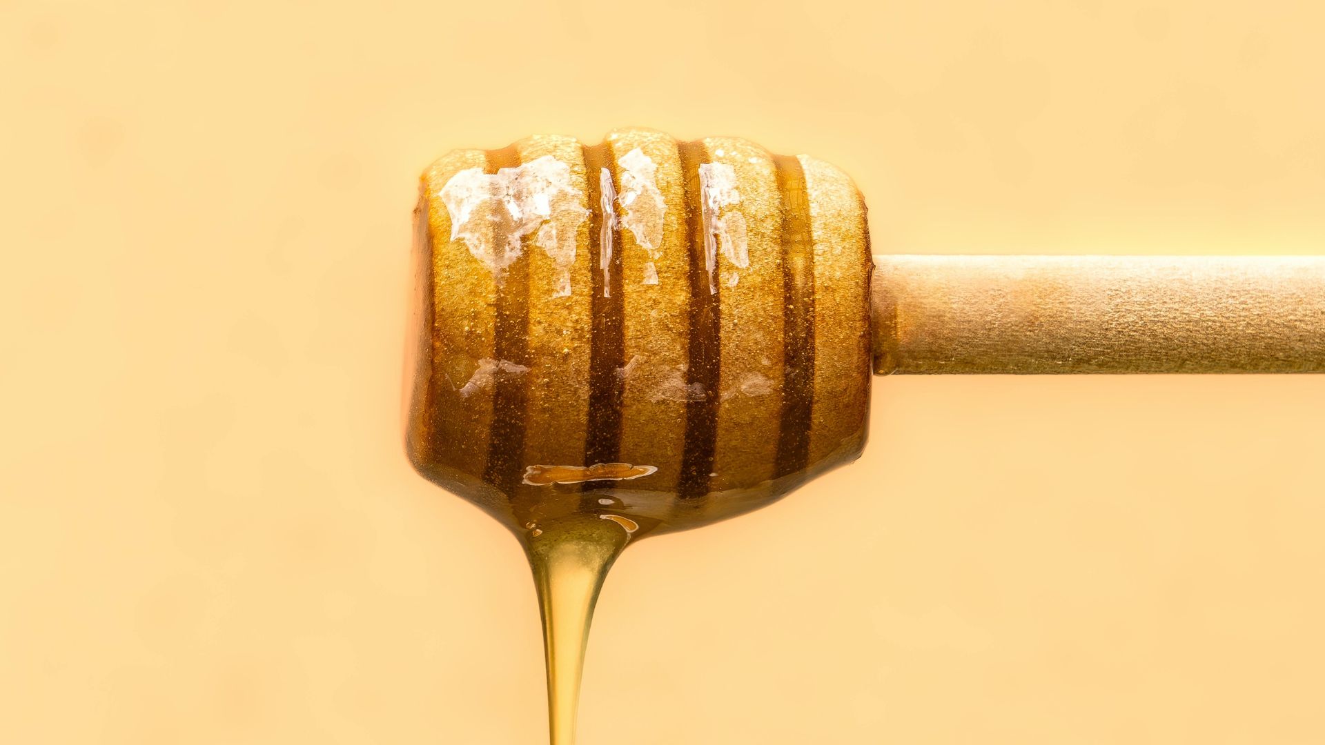 La guida Bio ai dolcificanti alternativi: sapore e gusto in cucina. 