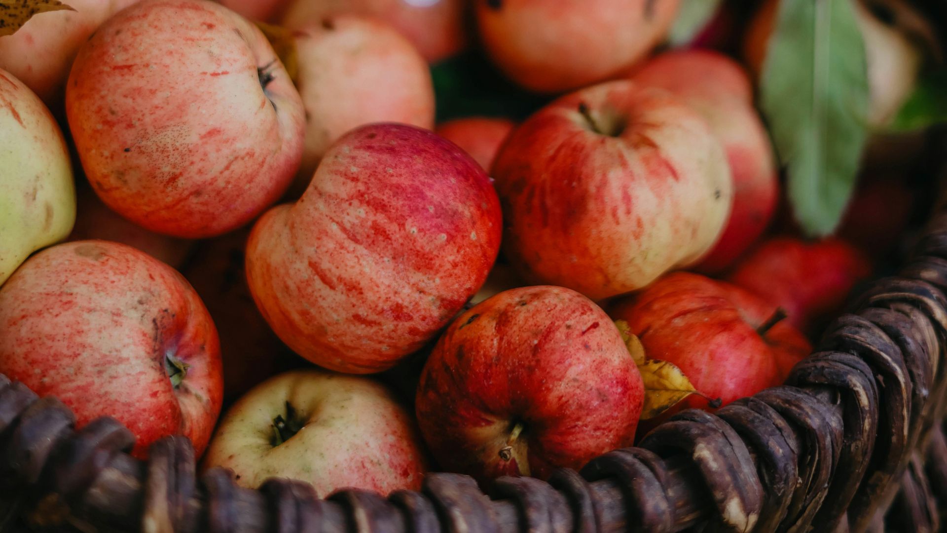 I frutti di settembre: la natura ci prepara all’autunno.