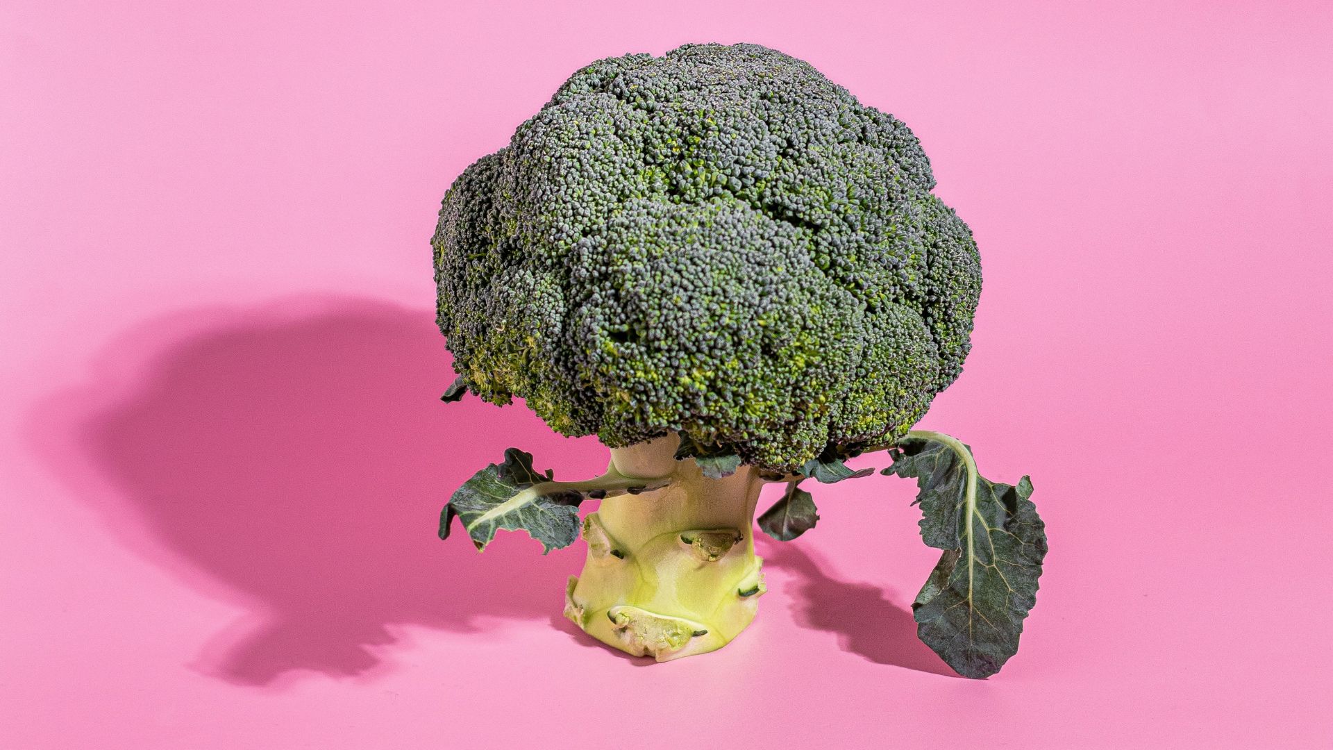 Veganuary: nuove consistenze e sapori nella tua cucina